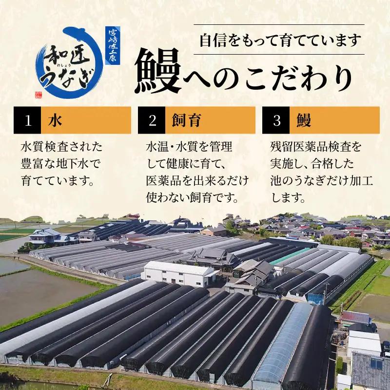 うなぎ 蒲焼カット うなぎ[国産 10パック 和匠うなぎ 備長炭手焼き 1kg]