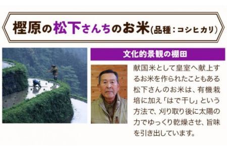 【先行予約】かみかつの棚田米 松下さんちのお米 玄米