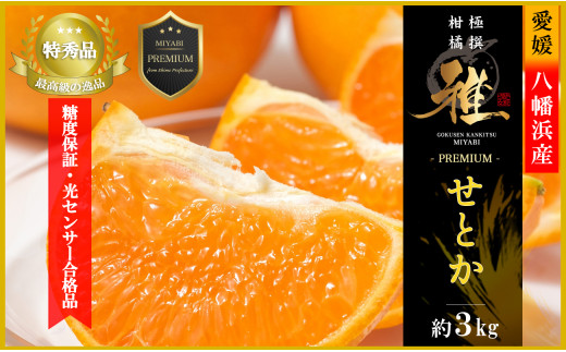 極撰柑橘＜雅プレミアム＞糖度保証・光センサー合格品「 せとか 」約3キロ＜D39-69＞【1620365】