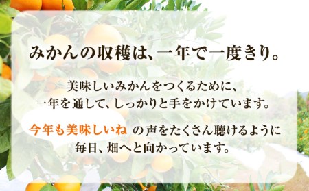 木成り完熟 温州みかんミックスサイズ5kg まるまつ農園《12月上旬-1月上旬頃より出荷》 和歌山県 日高川町 温州みかん みかん 完熟