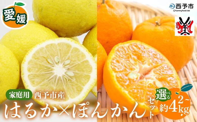 
                  ＜愛媛西予市産 はるか・ぽんかんセット 家庭用 約2kg/約4kg＞ 選べる内容量 柑橘 果物 フルーツ ポンカン ミカン みかん オレンジ 特産品 渡江から一歩を踏み出す会 食べて応援 特産品 愛媛県 西予市 【常温】『2026年4月上旬までに順次出荷予定』
                