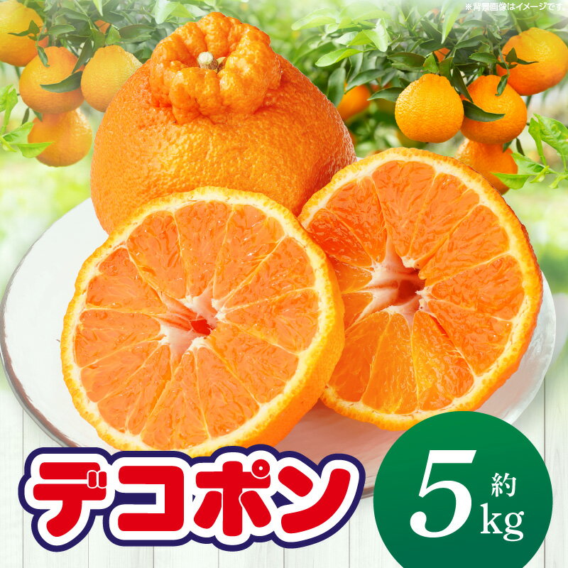 【ふるさと納税】【期間限定！】甘みと酸味の共演・濃厚「デコポン」約5kg【香川県共通返礼品】