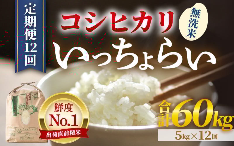 
            【先行予約】【令和7年産・新米】【一等米】《定期便12回》いっちょらい 無洗米 5kg × 12回（計60kg） ／ 福井県産 ブランド米 コシヒカリ ご飯 白米 新鮮 大賞 受賞 【2025年10月上旬より順次発送予定】 [aw012-m001]
          