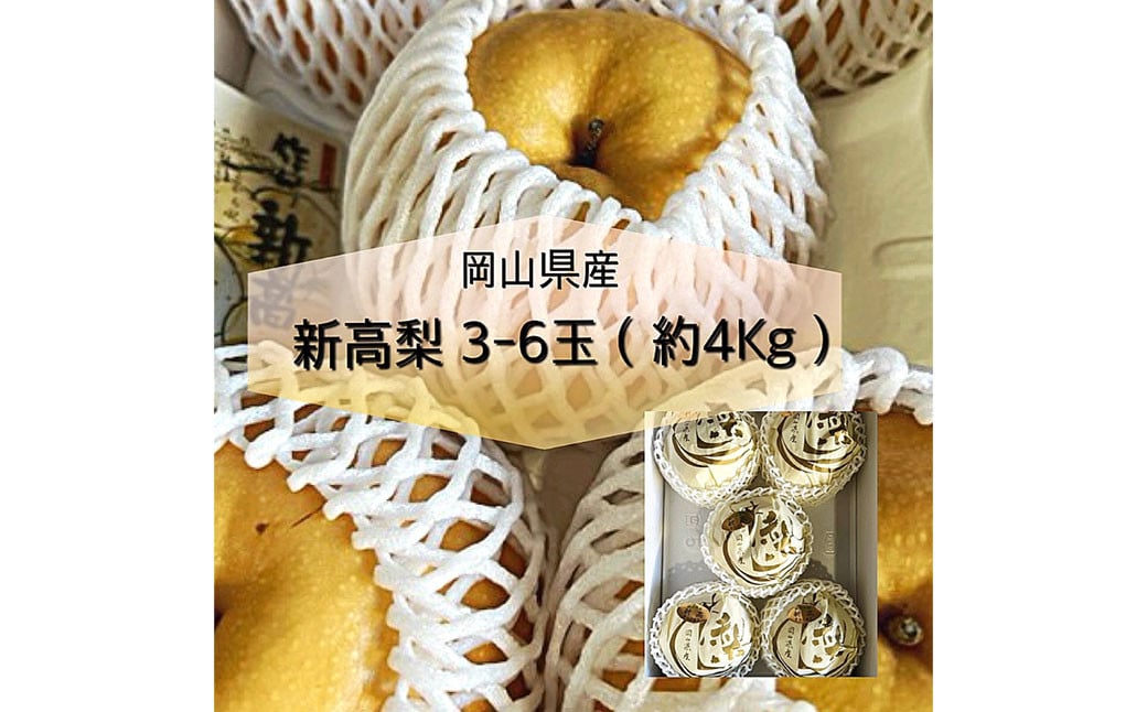 新高 梨 3～6玉 （約4kg） 化粧箱入り【2026年9月下旬～11月上旬迄発送予定】 ／ なし 和梨 果物 果実 フルーツ 大玉 岡山県 美咲町 常温