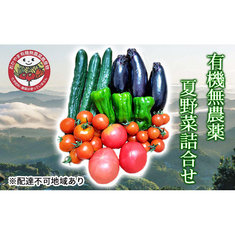 夏野菜 詰め合わせ おかやま 有機無農薬 農産物 野菜 セット