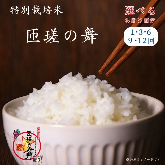 
                  令和7年産　米 5kg 10kg 匝瑳の舞 精米 ／ お米 コメ こめ ごはん 匝瑳の舞 ふさこがね 白米 精米 5kg 10kg 定期便 チバエコ 特別栽培 令和7年産 新米 千葉県 匝瑳市
                