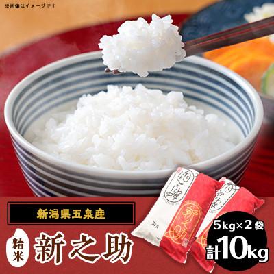 ふるさと納税 五泉市 【毎月定期便】[6回定期便]新之助 精米 10kg(5kg×2袋)全6回