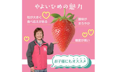 【2月発送】畑のいちご　「やよいひめ」　デラックス2箱