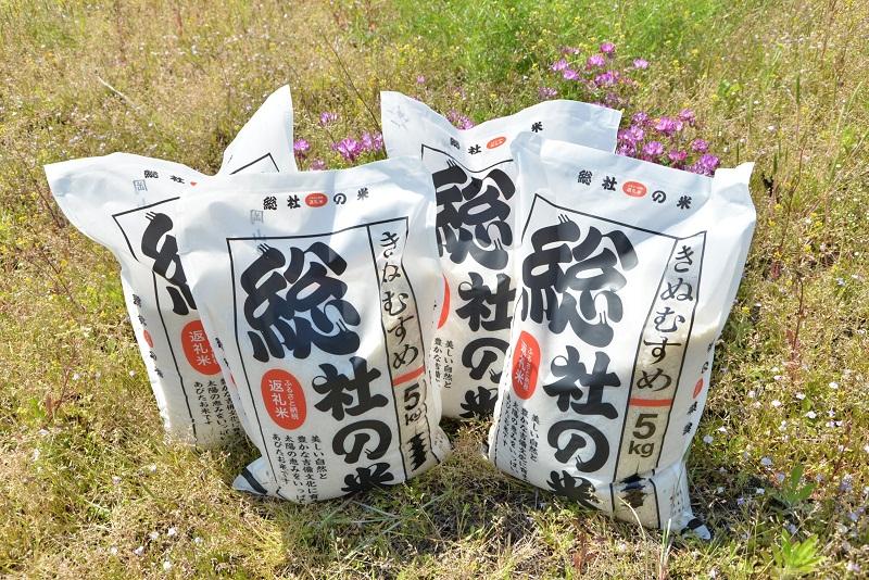 【令和6年産米】特Aきぬむすめ【精白米】60kg 定期便（15kg×4回）岡山県総社市産〔令和6年12月・令和7年2月・4月・6月配送〕24-060-003