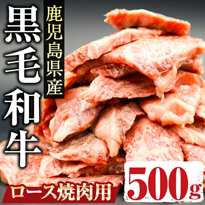 【ふるさと納税】鹿児島県産黒毛和牛ロース500g(焼肉用カット) 国産 鹿児島県産 黒毛和牛 和牛 牛肉 ロース お弁当 おかず 冷凍 簡単調理 BBQ 焼肉 小分け しぜんのおかショップ 【アグリおおすみ】