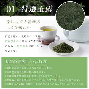 宇治茶 特撰玉露・特撰煎茶飲み比べセット 100g×2缶 (煎茶 緑茶