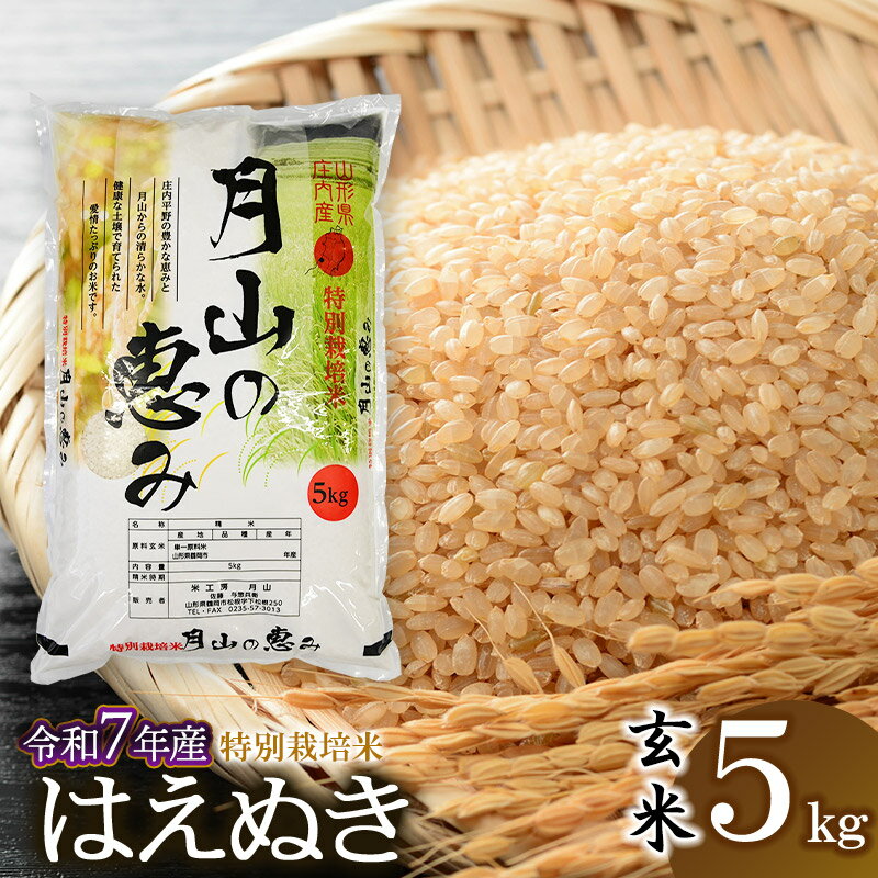 【ふるさと納税】令和7年産 特別栽培米 はえぬき 玄米 5kg (5kg×1袋) 2025年 | 山形県 鶴岡市 ブランド米 お取り寄せ お米 おこめ 特栽 コメ5キロ こめ 美味しい 鶴岡産 単一原料米