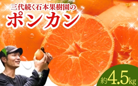 ポンカン 石本果樹園 ポンカン 約4.5kg 約20～25玉前後【min001B】
