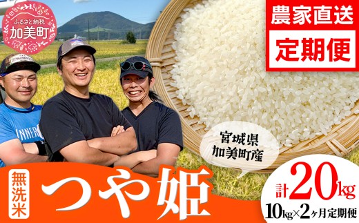 【新米予約】 つや姫 無洗米 定期便 【10kg×2回 計20kg】 先行予約（2026年10月中旬～発送） 令和8年産 米 宮城県産 つや姫　定期便  ブランド米 白米 精米 ご飯 ごはん コメ こめ お米 小分け 家庭用 結心ファーム [ 宮城県 加美町 ]   |  yu-th10-mu-t2-r8