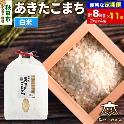 ふるさと納税 秋田市 《定期便11ヶ月》秋田市雄和産あきたこまち 清流米 8kg|15_akn-bb0811h