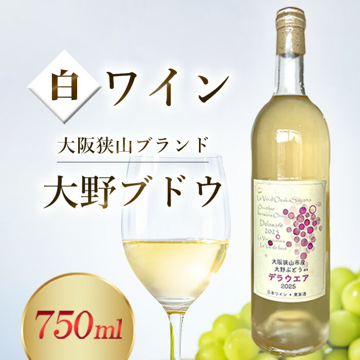 【ふるさと納税】 ワイン 【大野ぶどう】 ／ 白ワイン 国産ワイン デラウエアワイン 日本ワイン 甘口ワイン フルーティーワイン 軽やかな白ワイン 飲みやすいワイン さわやかなワイン 食事に合うワイン 家飲みワイン ワインギフト 送料無料 大阪府 No.370