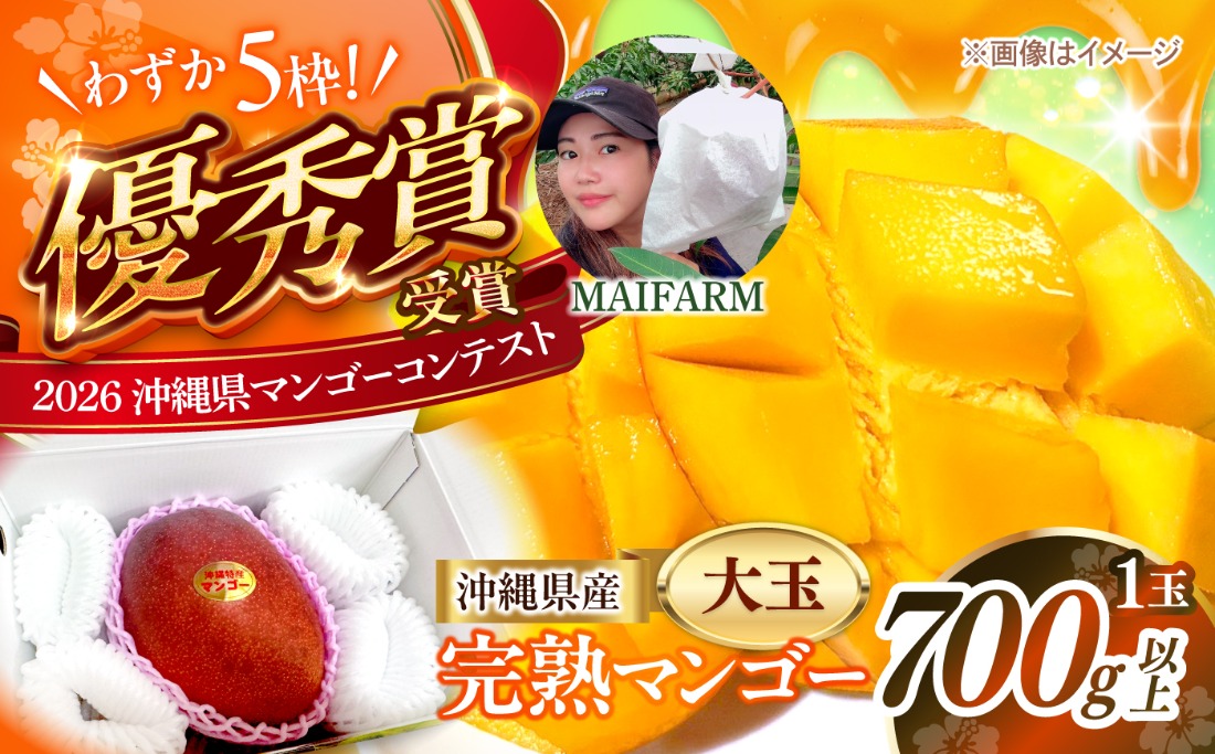 【先行予約】【優秀賞受賞】沖縄県産 完熟マンゴー 大玉 1個入り マンゴー 沖縄 果物 フルーツ ギフト 沖縄市 / MAIFARM[BCAN005]