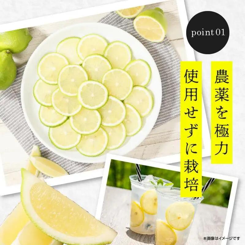 訳あり 加工用 レモン (サイズ混合) 3kg【2026年11月下旬～2027年4月上旬配送】