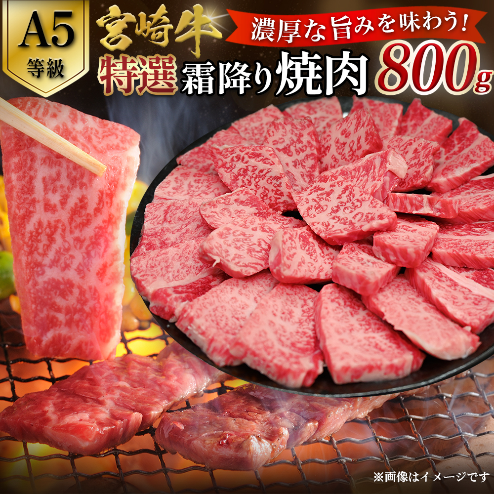 【A5等級】宮崎牛特選霜降り焼肉 800g（400g×2P） 宮崎牛 プレミアムシリーズ ブランド牛 和牛 牛肉 焼肉 特選和牛 霜降り A5 宮崎県 小林市