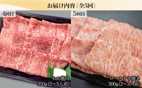 【定期便 5回】 飛騨牛 ふたりで楽しむ 定期便 5回 菊の井 牛肉 (すき焼き / 焼き肉 / しゃぶしゃぶ / 赤身 / カルビ) 5カ月 2人前 下呂温泉 おすすめ 肉 ブランド牛 【70-B】