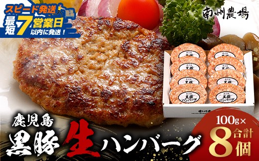 鹿児島県産 黒豚生ハンバーグセット（8個入）冷凍 NS-12 ❘ 肉 お肉 豚肉 豚 にく ぶた かごしま黒豚 焼くだけ おかず お弁当 ジューシー 小分け ギフト おかず お弁当 国産 鹿児島県 南大隅町 南州農場