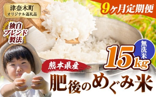 【9ヶ月定期便】無洗米 熊本県産 ブレンド米 肥後のめぐみ米 15kg 熊本県産 ふるさと納税 米 こめ ふるさとのうぜい コメ お米 おこめ《お申込み翌月から出荷》