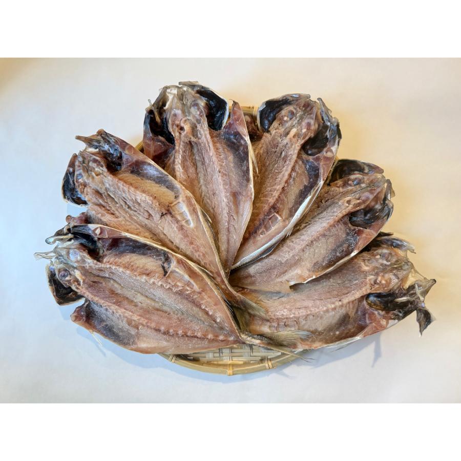 ＜鱈場＞氷見産あじ開き　約30センチ