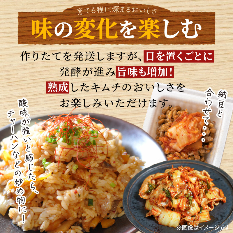 3種キムチ詰め合わせ （本格白菜キムチ・ニンニク無し白菜キムチ・大根キムチ） 計6P（3種×2P） 食べ比べ 手作り 無添加 本格 発酵食品 健康食品 キムチ 白菜 大根 漬物 H147-006