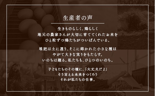 【定期便】平飼いたまご 24個×月2回×6ヶ月 / 卵 定期便 国産 綾部市 / 株式会社For youふぁーむ［BSCA019］