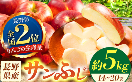 信州産　サンふじ約5kg (14～20玉)