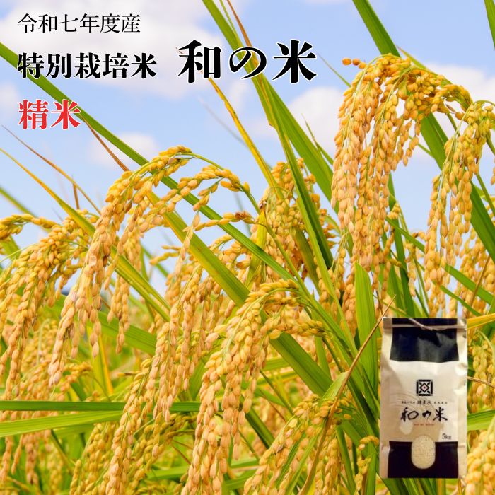 【ふるさと納税】《 令和7年産 》和の米　「酵素米」　精米　5kg　10kg ／ 米 こめ コメ お米 おこめ コシヒカリ こしひかり 和の米 酵素米 特別栽培認証 新米 精米 白米 ごはん ご飯 令和7年産 5kg 10kg 定期便 茨城県 利根町 送料無料