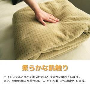 あったかボリューム毛布「ぽかぽか日和」ベージュ【1634950】