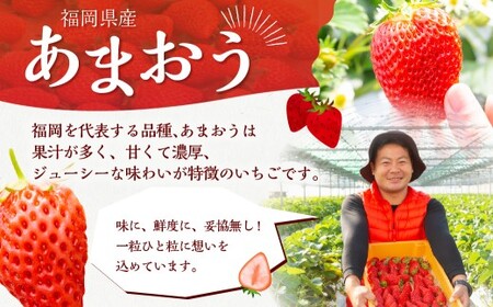 【2026年3月発送】 よかもんいちご あまおう苺セット 6パック （計約1.62kg） よかもん苺 苺 いちご イチゴ 果物 果実 フルーツ 九州 福岡県 うきは市 冷蔵