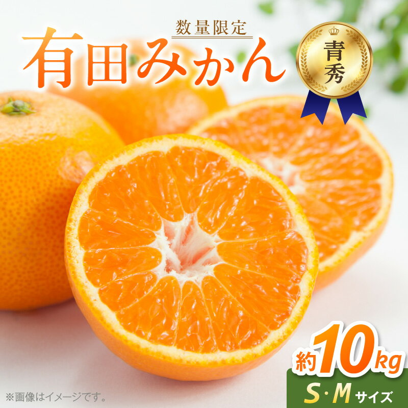 【ふるさと納税】【2025年先行予約】 【数量限定】 有田みかん 青秀 S,Мサイズ 約10kg 【ミカン 蜜柑 柑橘 温州みかん 和歌山 贈答 ギフト】