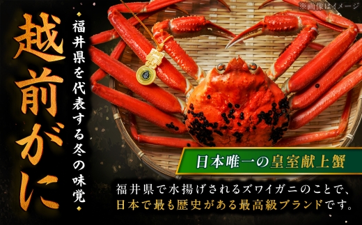 【先行予約/11月18日より順次配送】【訳あり】越前がに 800g×1杯 茹で 福井県産ズワイガニ 脚折れ・欠け / かに カニ 蟹 越前ガニ ズワイガニ ボイル / 小浜市 / 一進わかさ【配送不可