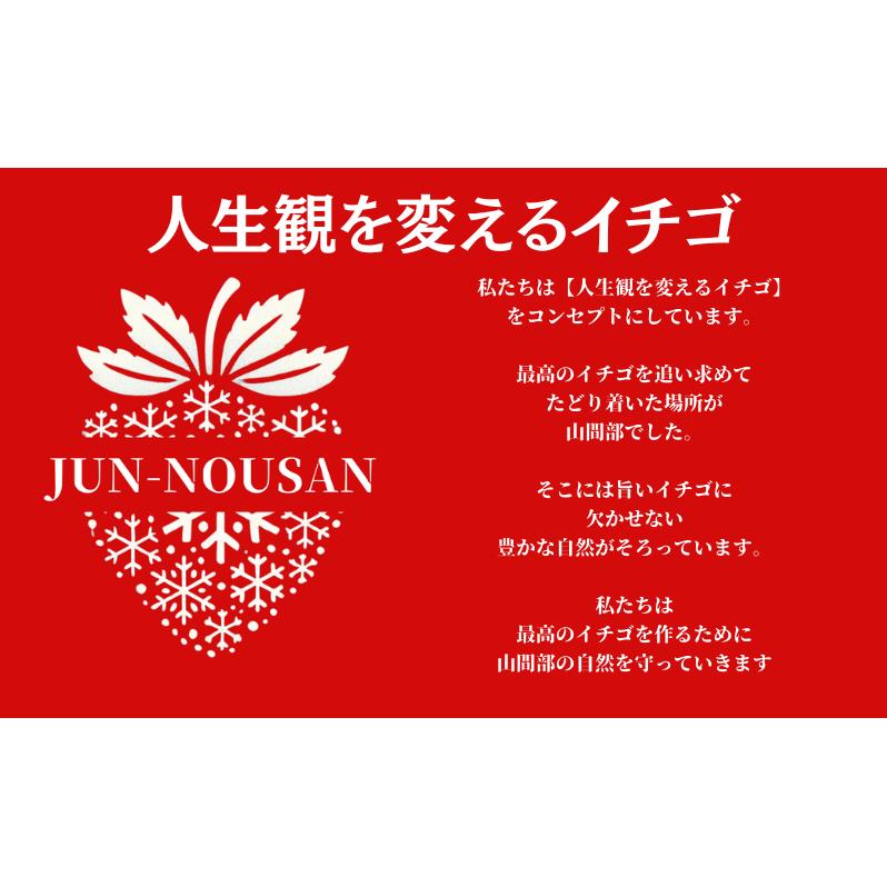 ＜先行予約＞【訳あり】「今までで1番うまい」とグルメ家がうなったイチゴ【女神の雫】 2027年 1月 2月 3月 4月 500g 岐阜県 美濃市 じゅん農産 訳アリ 苺 イチゴ いちご フルーツ 甘い
