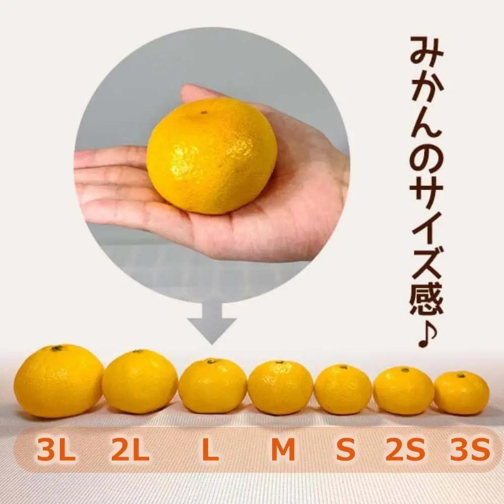 訳あり ゆら早生 みかん 箱込5kg(内容量 4.4kg)サイズミックス  有田みかん 和歌山県産 【みかんの会】［2026年10月下旬頃より順次発送予定］