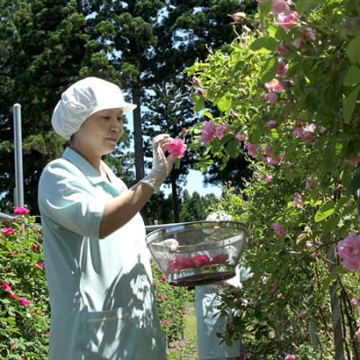 ふるさと納税 大仙市 秋田薔薇園産 純粋ローズウォーター3本セット |  | 02