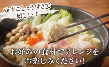 コラーゲン鍋セット(合計2.6kg以上) 肉 鶏 鶏肉 鍋 国産 _T017-005【人気 コラーゲン 鍋 おかず コラーゲン 鍋 おつまみ コラーゲン 鍋 惣菜 コラーゲン 鍋 個包装 コラーゲン 