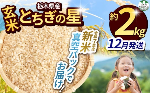 【先行予約】【令和7年度新米】【毎月500個限定！】【栃木県共通返礼品】 栃木県産とちぎの星 2kg（玄米真空パック）12月分 | 新米 とちぎの星 玄米 米 ごはん  冷めてもおいしい ふるさと納税 那珂川町 栃木県