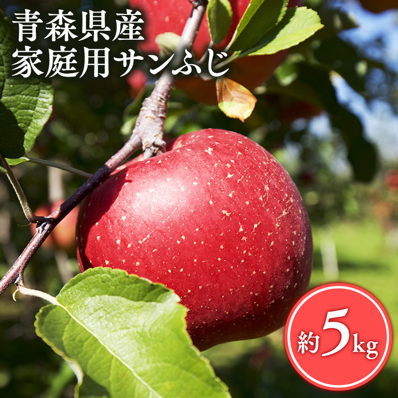 【4月発送】家庭用サンふじ5kg【丸勝木村商店・青森りんご】