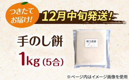 【12月中旬より発送】 みたけ のし餅 5合（約1㎏）/餅 お餅 のしもち/御嵩町/株式会社アオキ[AVBN002]