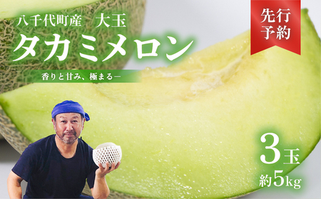 メロン タカミメロン 秀品 3玉 約5kg メロン メロン メロン メロン メロン メロン メロン メロン