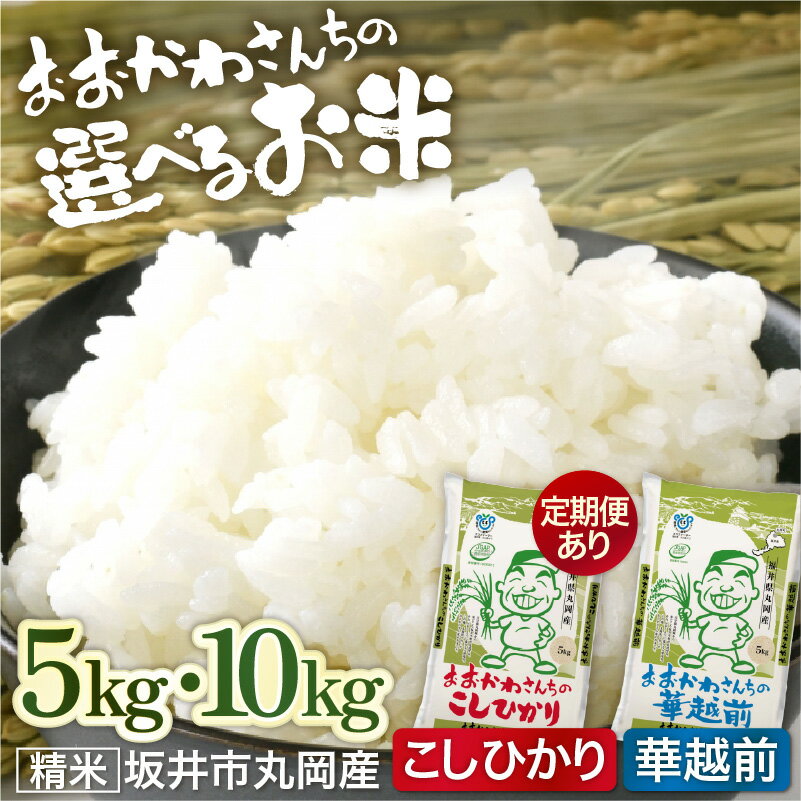 【ふるさと納税】 米 令和7年産 おおかわさんちのお米 5kg〜 選べる品種 コシヒカリ / ハナエチゼン 【選べる内容量・発送回数】 定期便 5kg 10kg 6ヶ月 12ヶ月 5キロ 10キロ 米 こめ お米 精米 ブランド米 こしひかり 華越前 コスパ 国産