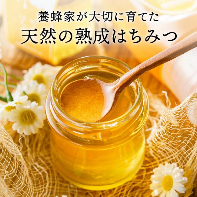 【2025年採蜜予約受付 2025年8月から順次発送】 完熟はちみつ　300g（藤岡養蜂園） 　008FY01N. ／ 完熟 熟成 天然 ハチミツ 養蜂 蜂蜜 ミツバチ チューブ