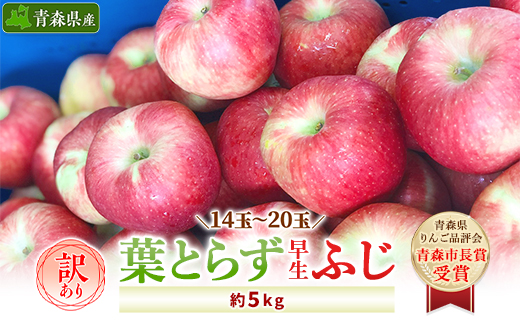 【訳あり】 りんご 葉とらず早生ふじ 家庭用 約5kg (14玉～20玉)  【配送不可地域：離島・沖縄県】