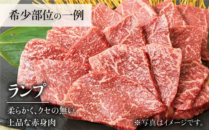 ＜6回定期便＞佐賀牛希少部位含む～ひとり贅沢焼肉コース～ ランプ/クリ/トウガラシ/ザブトン/カイノミなど【ミートフーズ華松】 [FAY072]