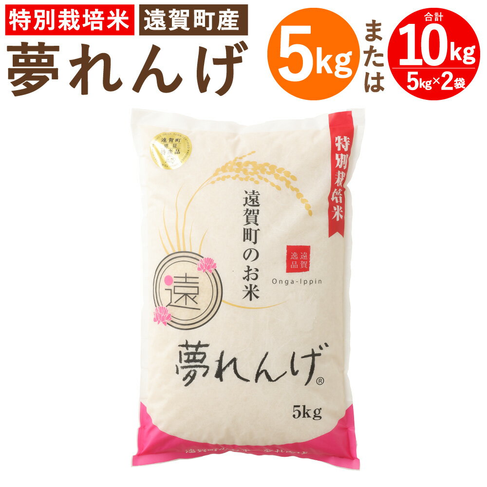 【ふるさと納税】【令和7年産】特別栽培米 夢れんげ 〈選べる〉 5kg または 10kg 1袋あたり5kg 1袋 2袋 夢つくし 元気つくし 精米 白米 お米 米 ごはん ご飯 福岡 遠賀町産 九州産 国産 送料無料