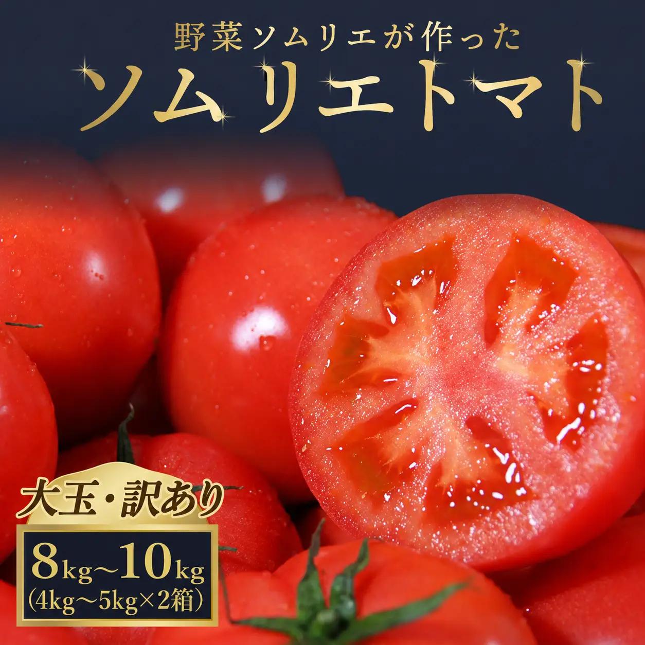 【訳あり】大玉トマト 4kg～5kg ×２｜レッドアップ