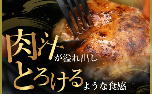 E-26 石垣島産アグー豚(南ぬ豚) 網脂ハンバーグ食べ比べセット(3種×各2個)